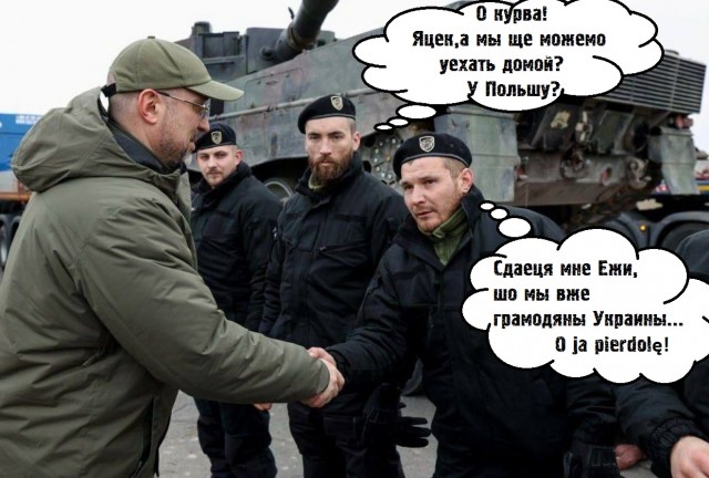 Первые леопарды прибыли