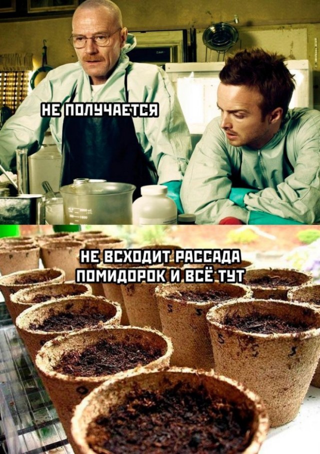 Всем хороших выходных - картинки, мемы и т.п.