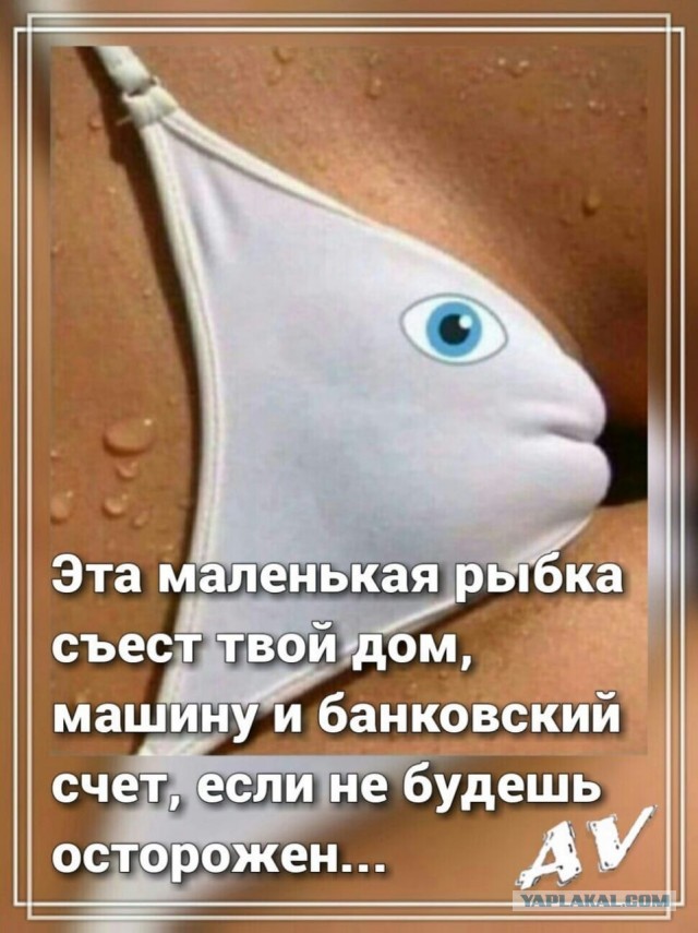 «Я человеком был, а стал таксистом»: бизнесмен обвинил красотку-гонщицу в своих многомиллионных долгах