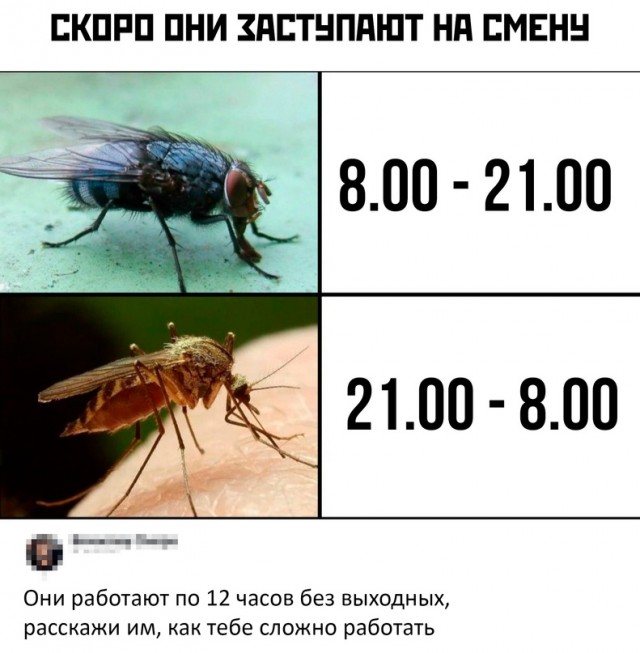 Немного картинок для настроения - 177