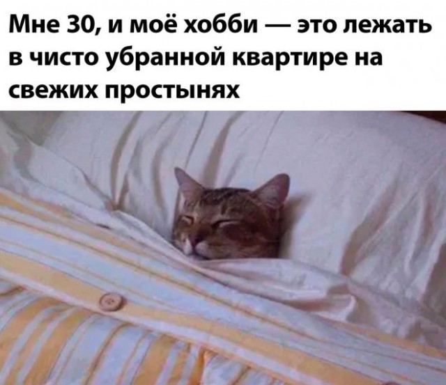Картинки и мемы, всяко разно - 179