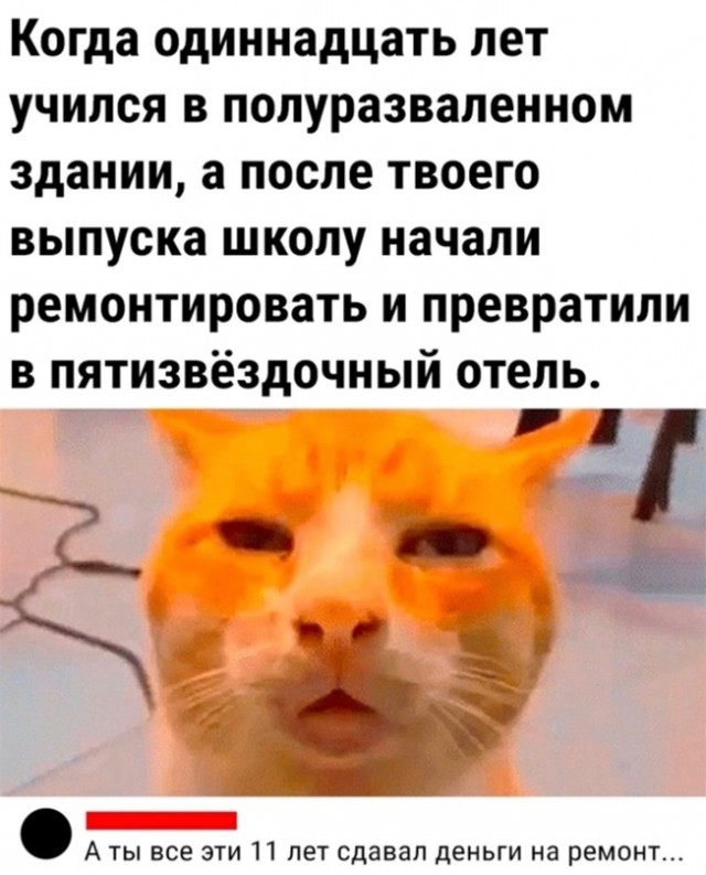 33 JPЕнота