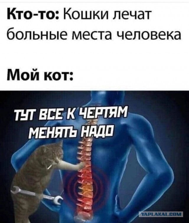 Прикольные и просто красивые картинки 27.06.2023