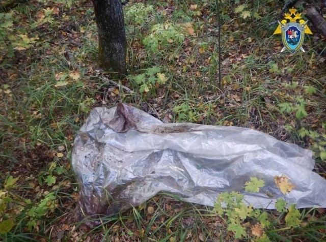 В Нижегородской области в лесу зарезали пенсионерку, которая  застукала двух мужчин, занимавшихся сексом