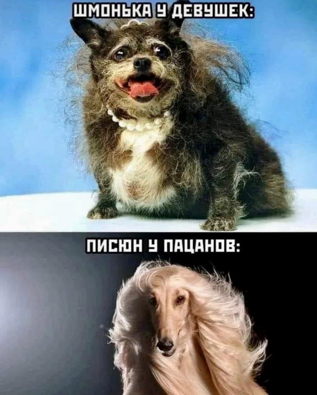 Юмор в картинках и без