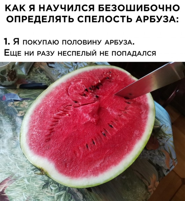 Весёлый полтишок 16.07.23