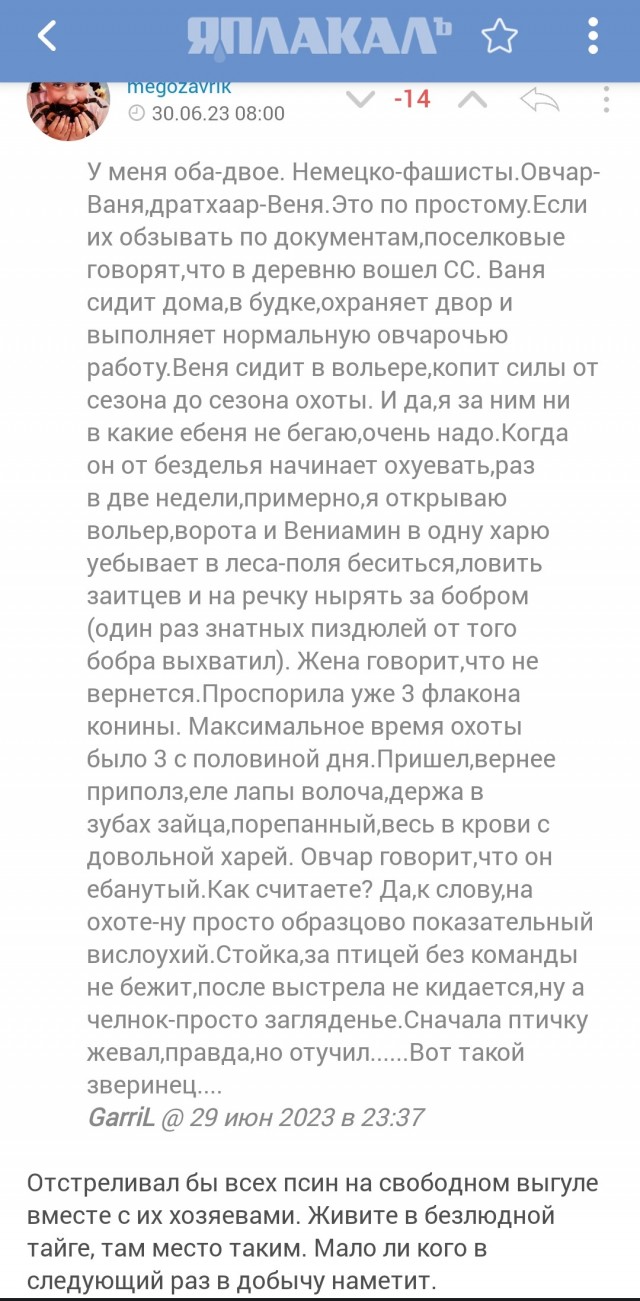 Опять псины...