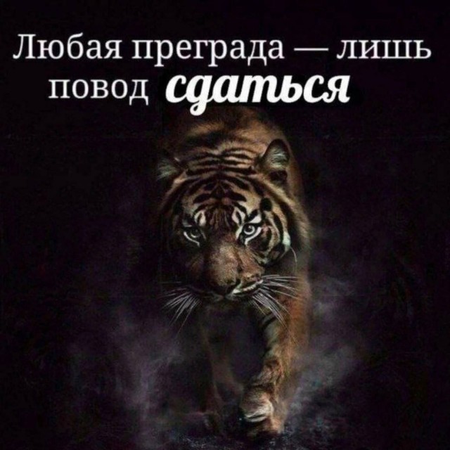 Весёлый полтишок 23.07.23