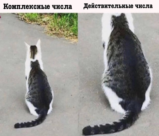 Отмена деградации ІV. Околонаучные картинки