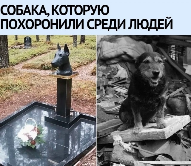 Смешал, но не взбалтывал: 12.08.23