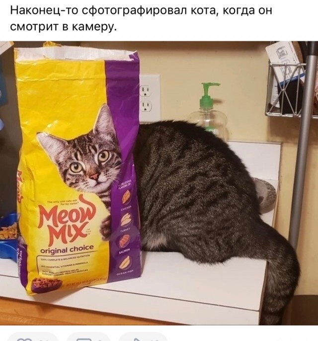 Показалось...
