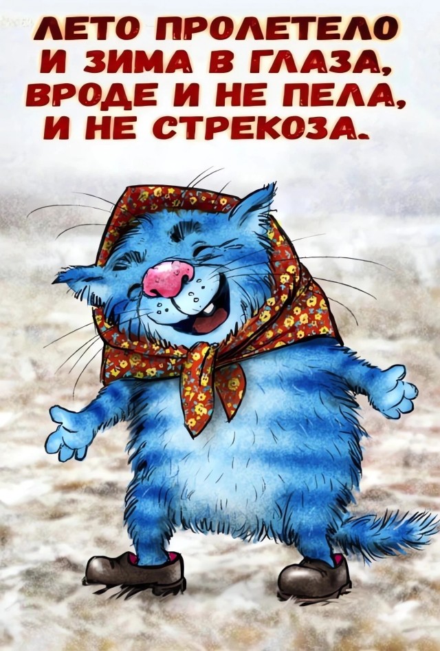 Немного котов из Минска