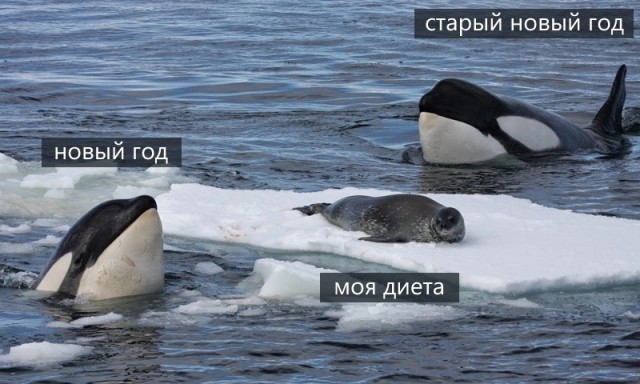 Нуштош 06.01.2024