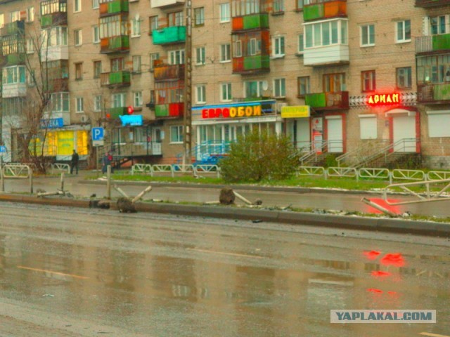 Как остановить "ездунов по тротуарам"?