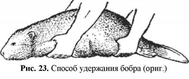 В Польше как обычно