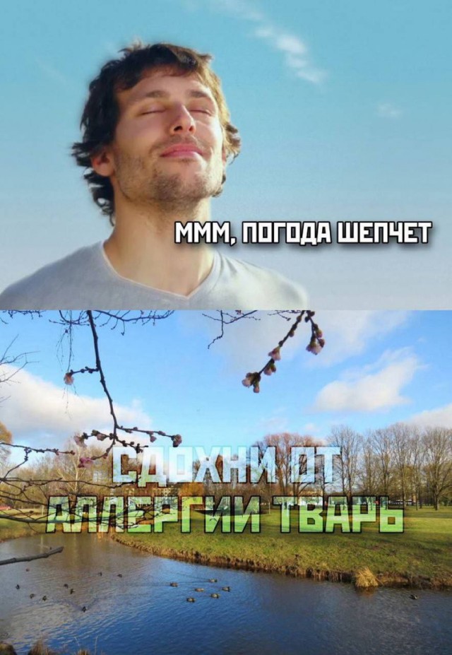 Всего понемногу. От 08.04.2024