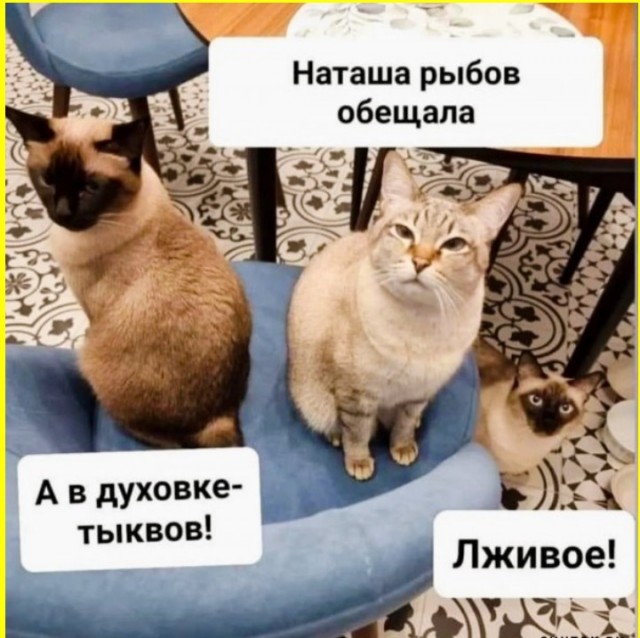 ТРРРидцать тРРРи от 8 апРРРеля