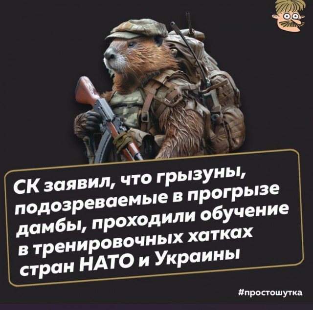 В Оренбурге мужчина «нашёл виноватого» в разрушении дамбы и порче дороги