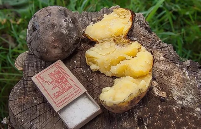Спичечные коробки из СССР