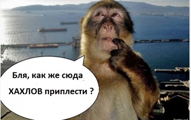 На что ставим?