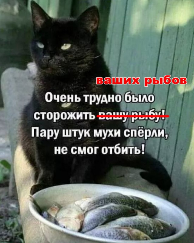 Завалялось тут случайно немного забавных картинок
