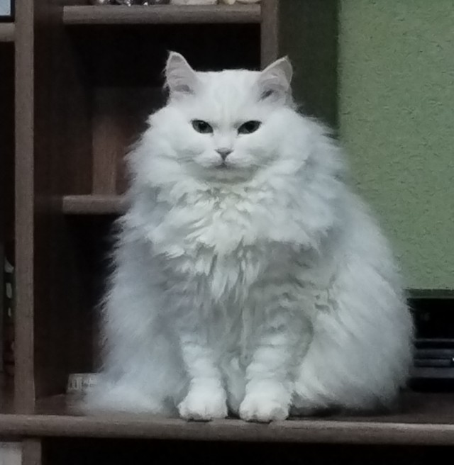 Наташ, скоро сварится?