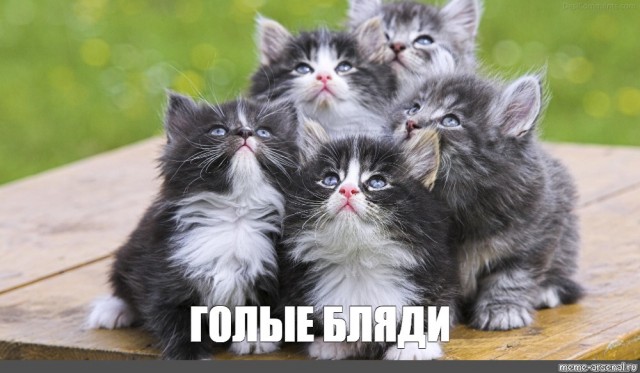 Девушки бывают разные 02.09