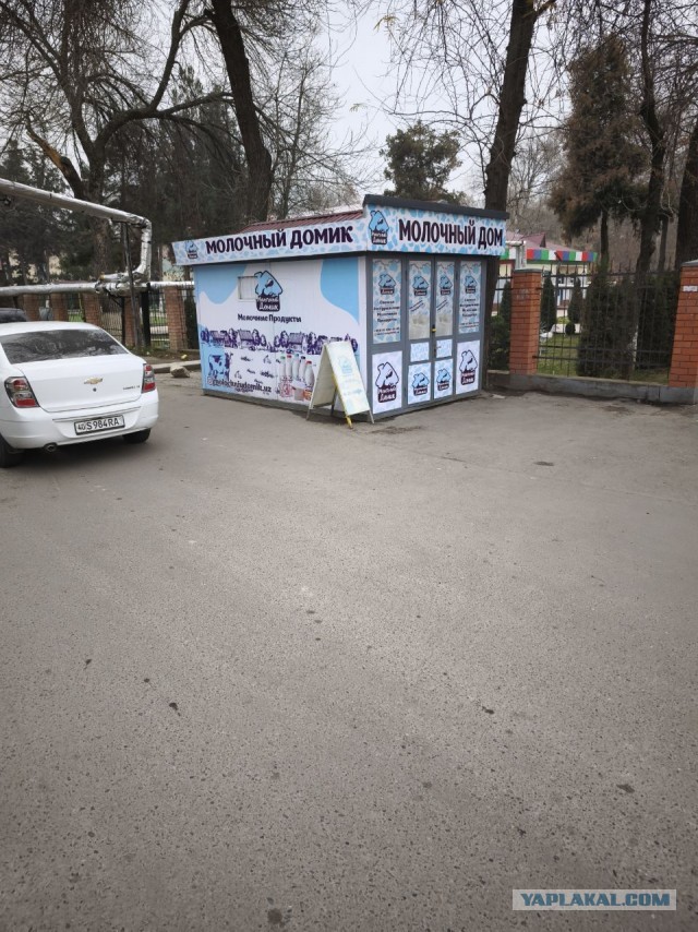 Явился и удивился