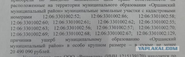 В Йошкар-Оле задержали русского it-предпринимателя
