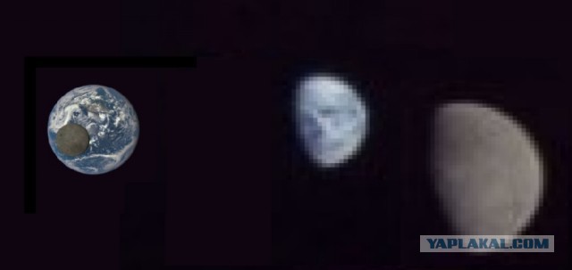 Американский посадочный модуль Blue Ghost достиг Луны и прислал первые снимки