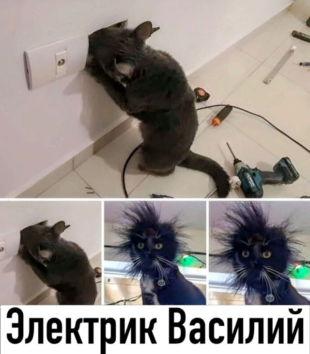 Так себе картинки 03.03.25