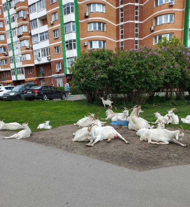 Маленькая пятница 21.05.25