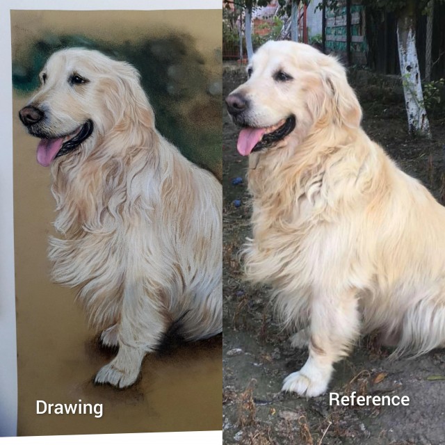 Арты для собакочетверга