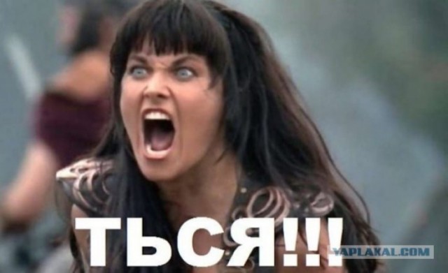 Раньше были собаки, а теперь дети. СВОшник-кинолог впервые возглавил школу на Урале.