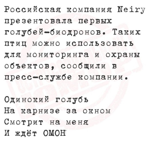 Картинки для деградации 96 (разной степени свежести)