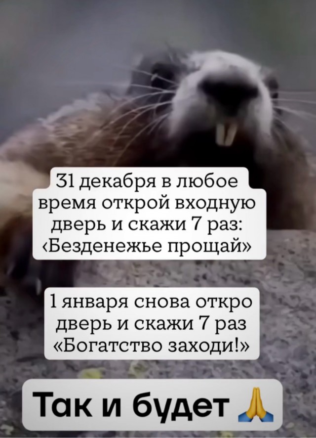 Среды картинки