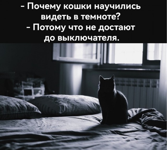 Пятничные картинки