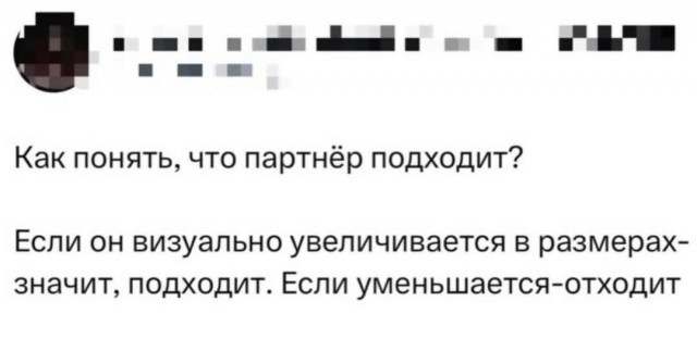 Воскресные картинки