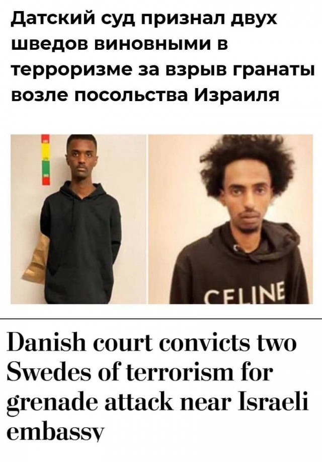 Двух шведов осудили в Дании за теракт.