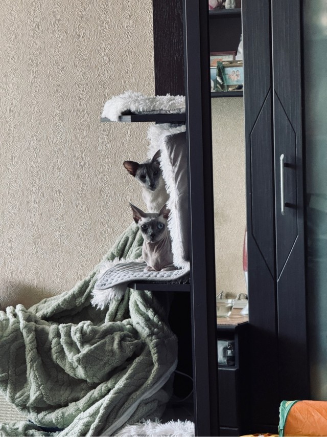 Беспредел