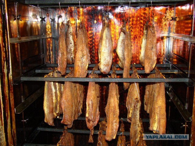 Сбросил клеймо⁠