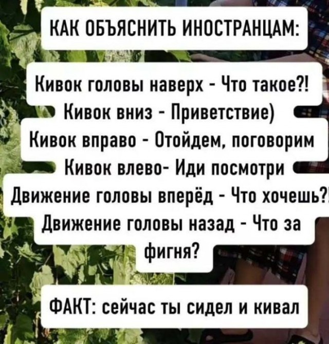 Картинки для деградации 238 (разной степени свежести)