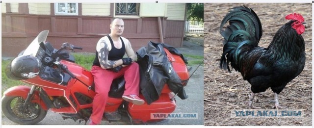 Одного из участников избиения учёного РАН Никиты Зезина задержали, но...