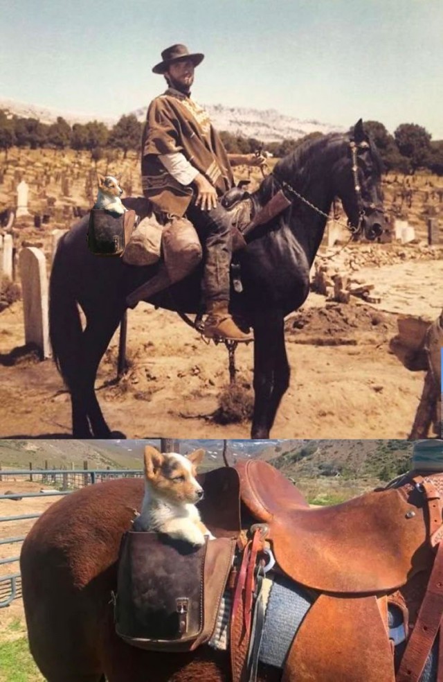 Фильмовый юмор в картинках