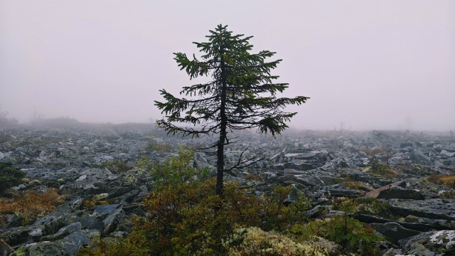 Сплав по Вишере от 71 квартала до Красновишерска. Часть 2.