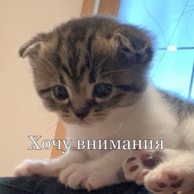 Рукожопая