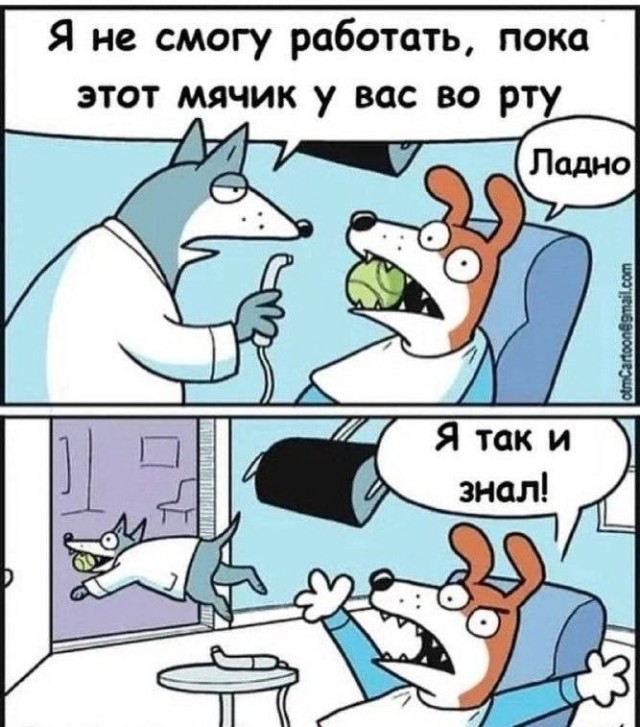 Картинки для деградации 303 (разной степени свежести)