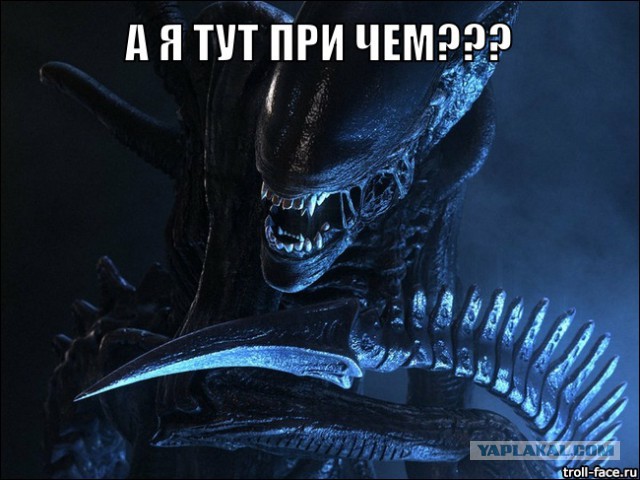 Потрясающее сходство.