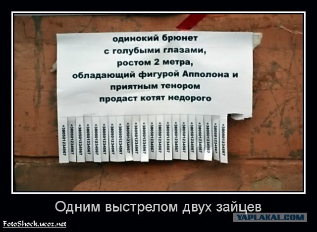 Смешные картинки
