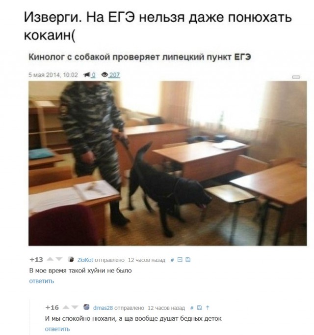 Прикольные картинки